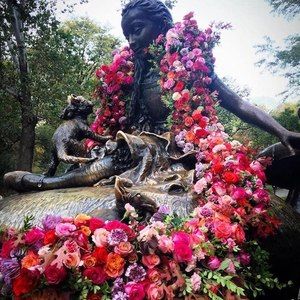 Meet your Posher, Lynda